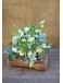 Aromas | Ramo y Perfume