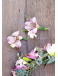 Amor Bonito - Boutonniere