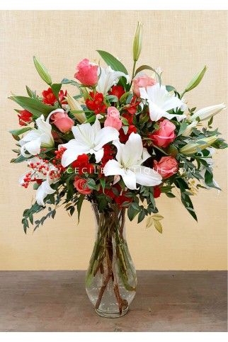 Dulce primavera 