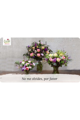 No me olvides, por favor