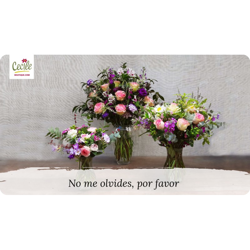 No me olvides, por favor
