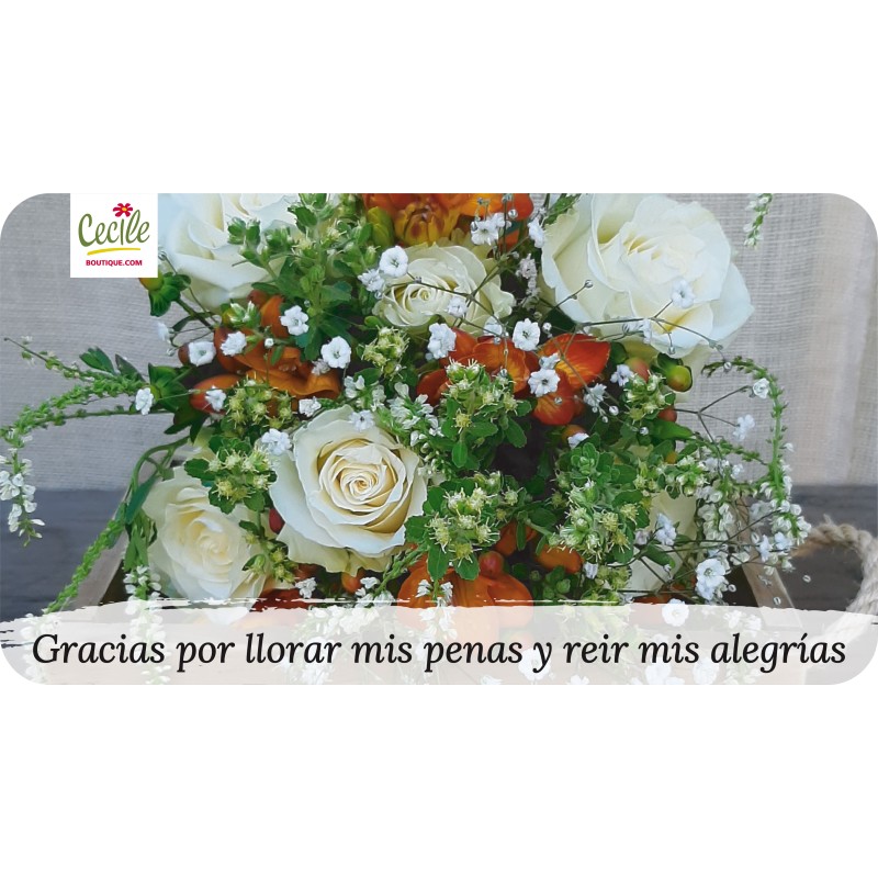 Gracias por llorar mis penas y reír mis alegrías