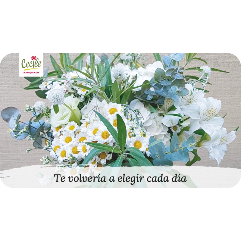 Te volvería a elegir cada día