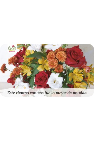 Este tiempo con vos fue lo mejor de mi vida
