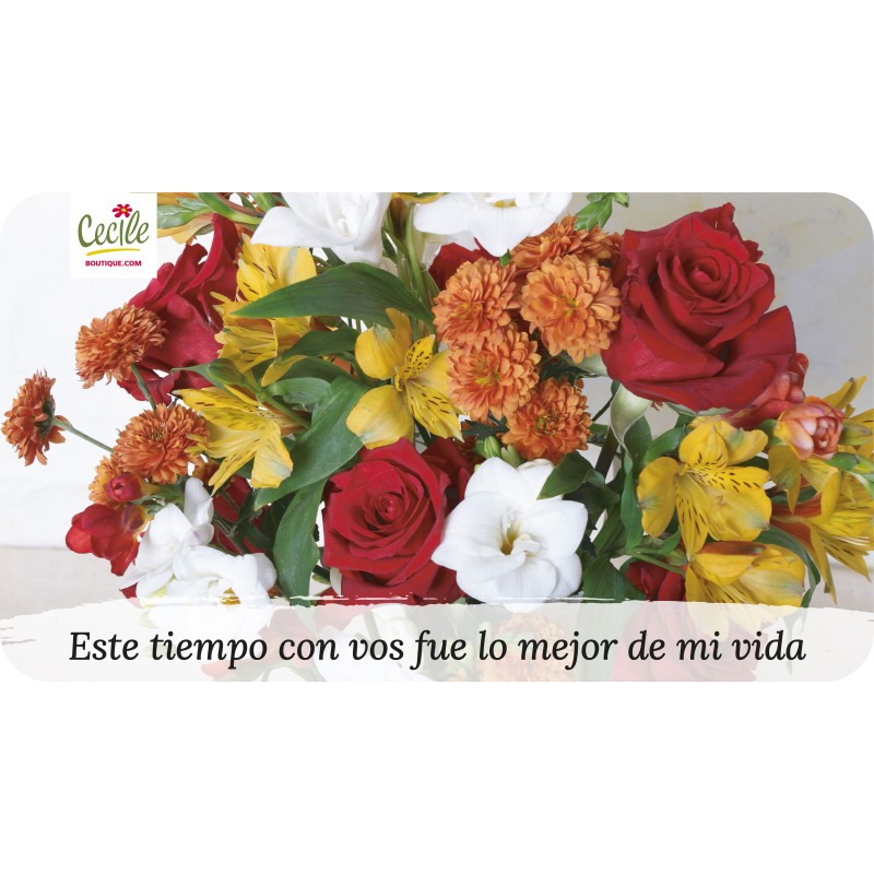 Este tiempo con vos fue lo mejor de mi vida