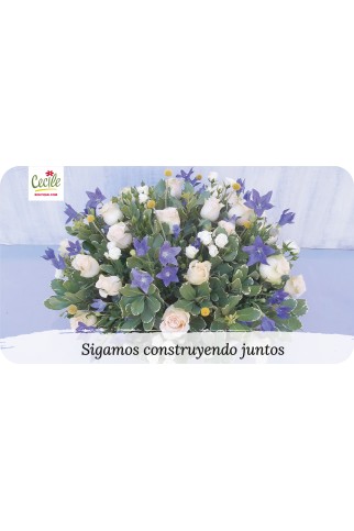 Sigamos construyendo juntos