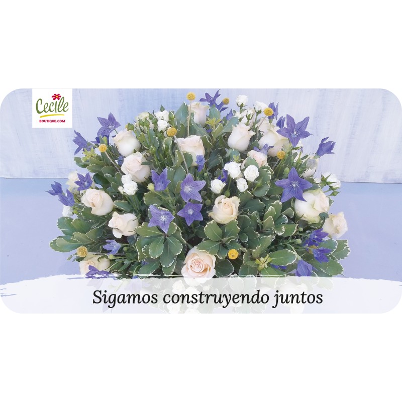 Sigamos construyendo juntos
