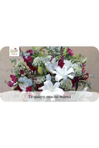 Te quiero mucho mamá