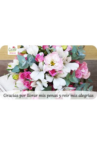 Gracias por llorar mis penas y reír mis alegrías