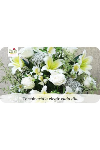 Te volvería a elegir cada día