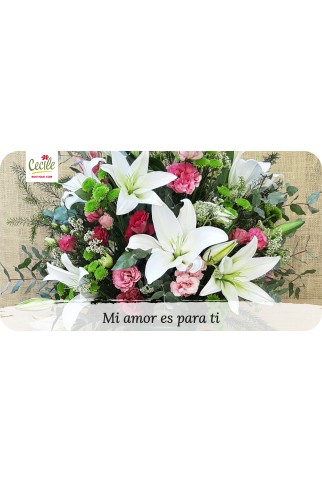 Mi amor es para ti
