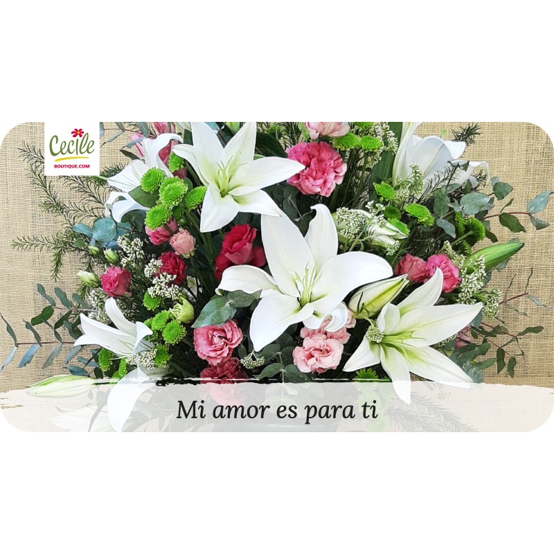 Mi amor es para ti
