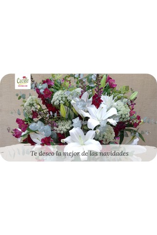 Te deseo la mejor de las navidades