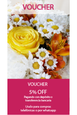 Voucher
