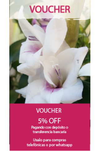 Voucher