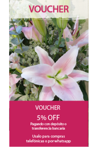 Voucher