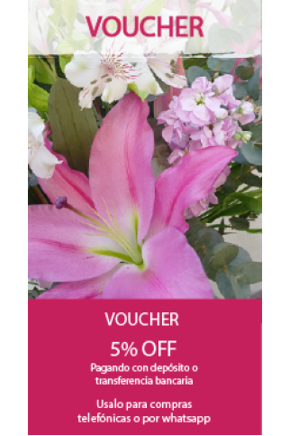 Voucher