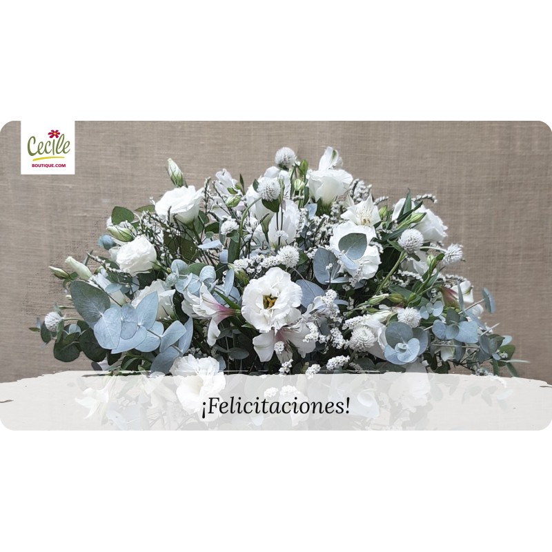 ¡Felicitaciones!