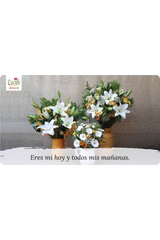 Eres mi hoy y todos mis mañanas