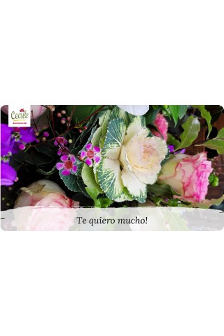 Te quiero mucho!