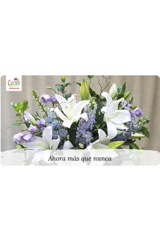 Ahora más que nunca