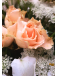 Pureza | Ramo de Novia